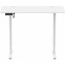 Birou Gaming Serioux Ascend, înălțime reglabilă electric, 120x60x73-118cm, 100–240 V, metal, alb Birou Gaming Serioux Ascend, înălțime reglabilă electric, 120x60x73-118cm, 100–240 V, metal, alb